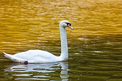 《致命解药》Steam抢先体验 美女僵尸生存射击